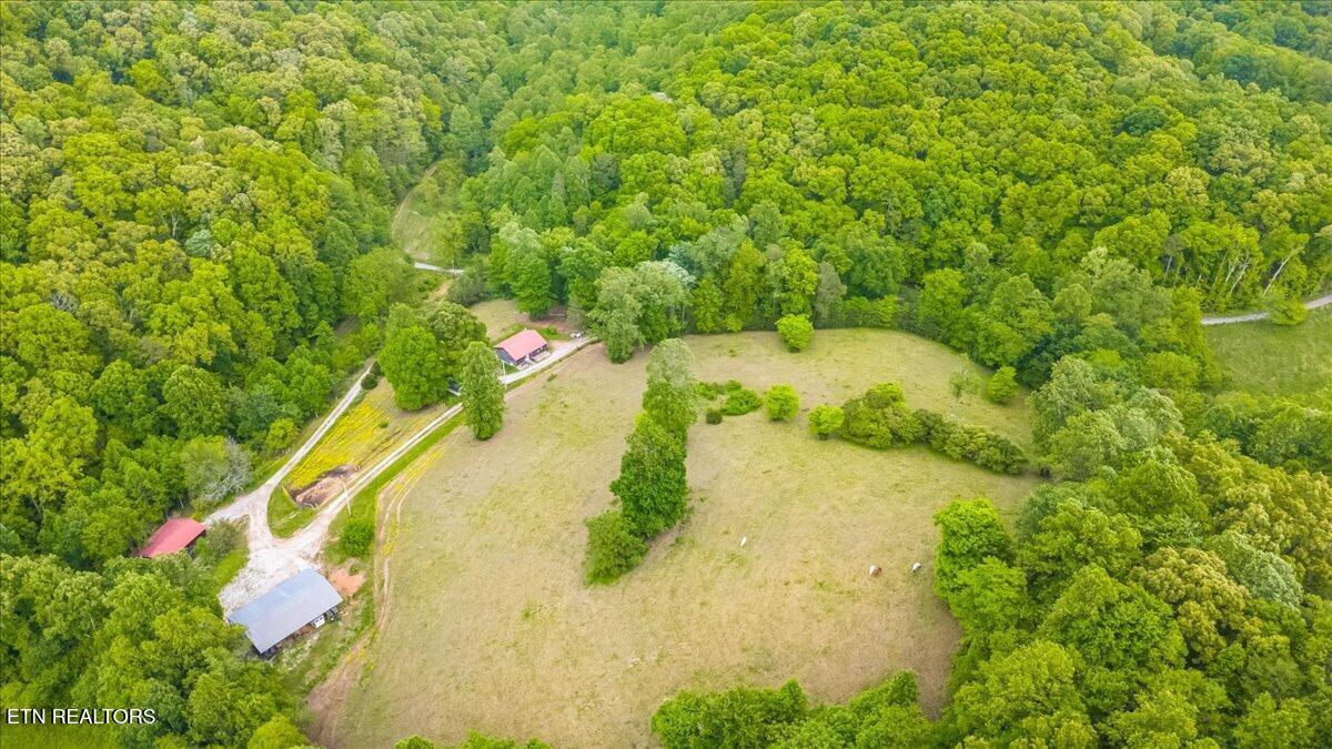299 Tar Town Hollow Lane, LaFollette