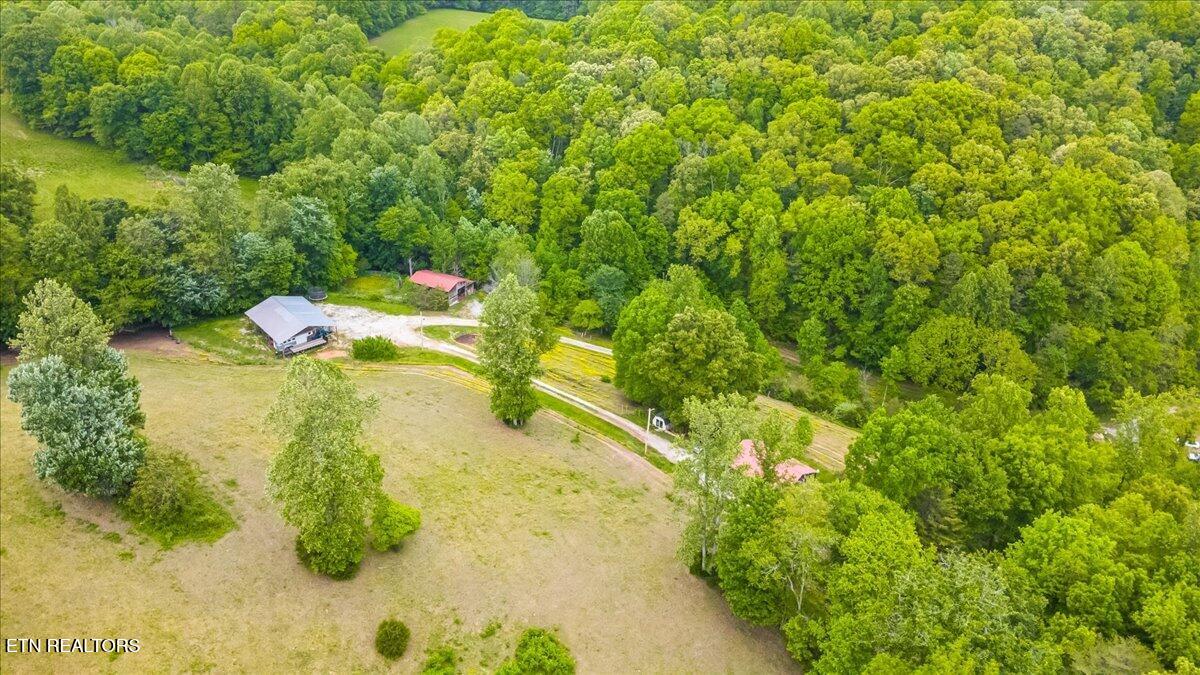 299 Tar Town Hollow Lane, LaFollette