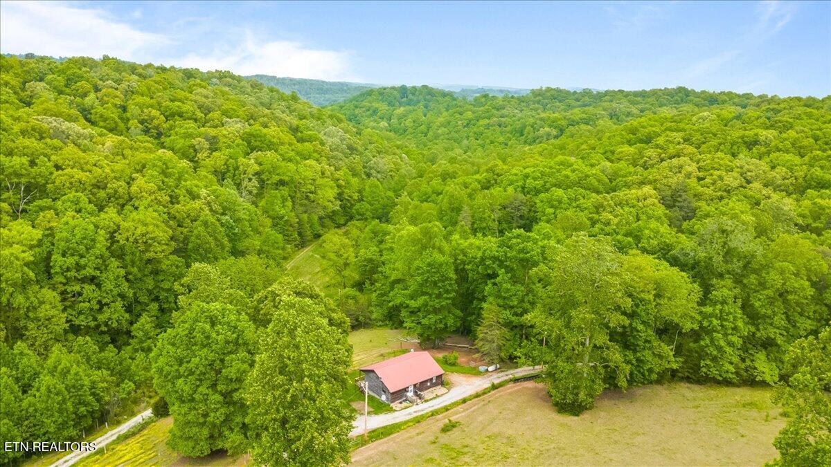 299 Tar Town Hollow Lane, LaFollette