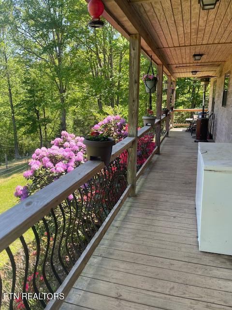 299 Tar Town Hollow Lane, LaFollette