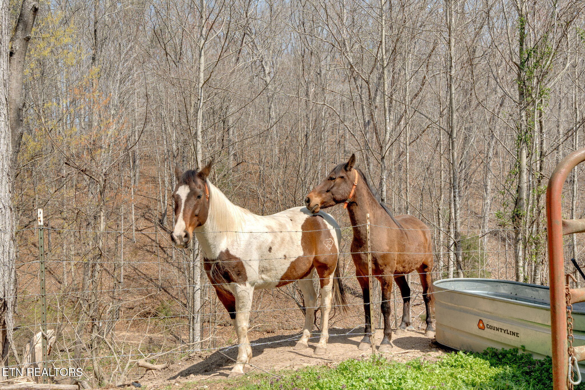 299 Tar Town Hollow Lane, LaFollette