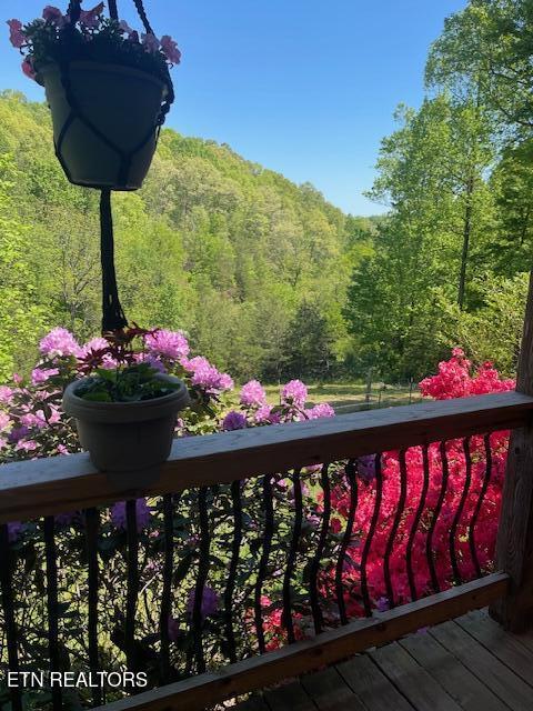 299 Tar Town Hollow Lane, LaFollette