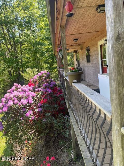299 Tar Town Hollow Lane, LaFollette