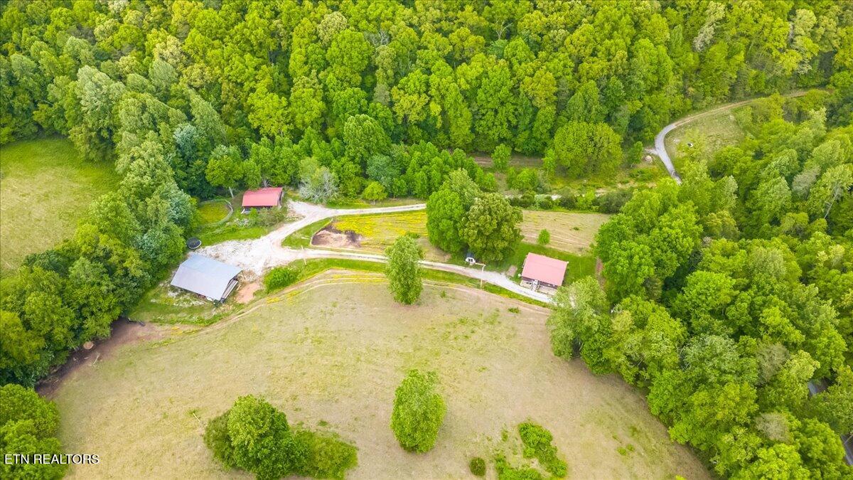 299 Tar Town Hollow Lane, LaFollette
