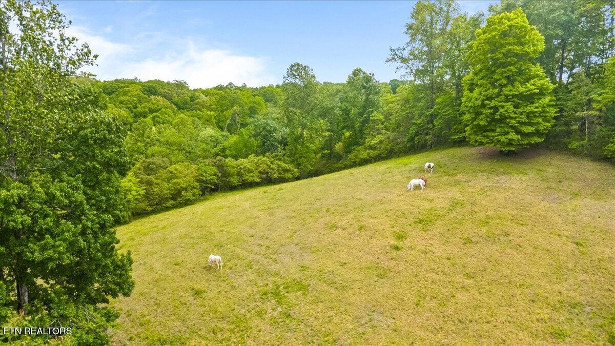 299 Tar Town Hollow Lane, LaFollette