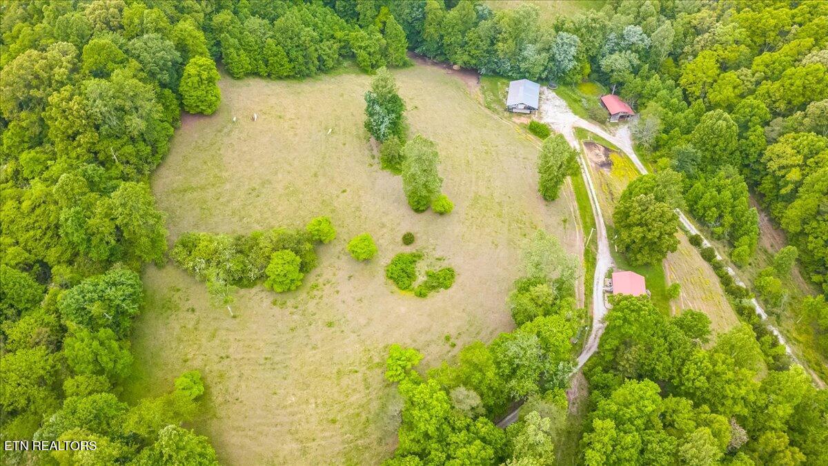 299 Tar Town Hollow Lane, LaFollette