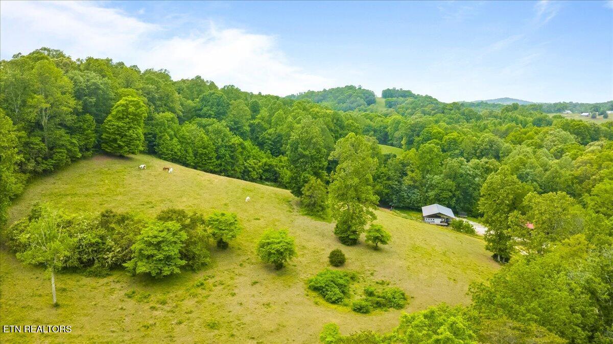299 Tar Town Hollow Lane, LaFollette
