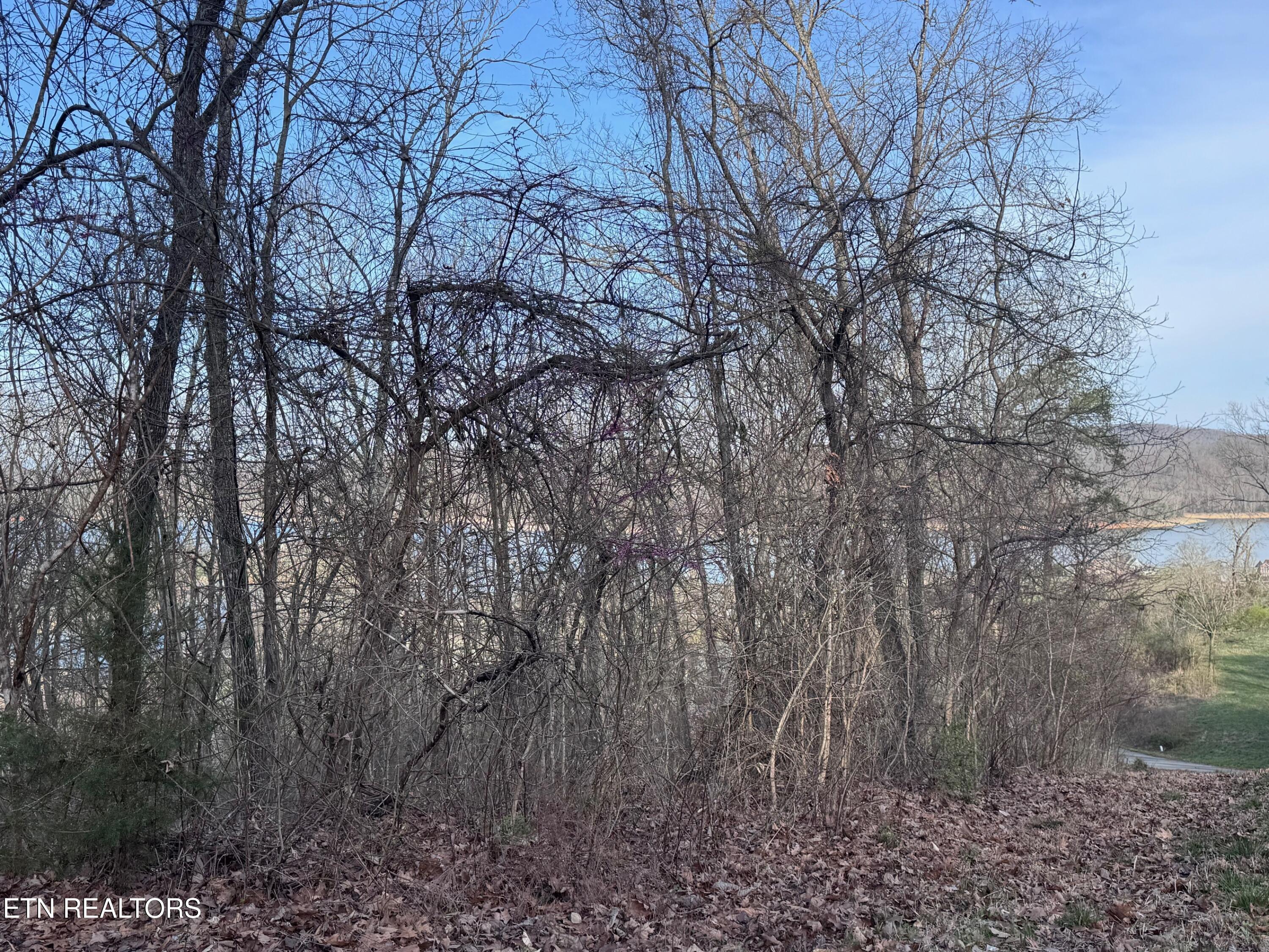 344 Larayne Hollow Rd