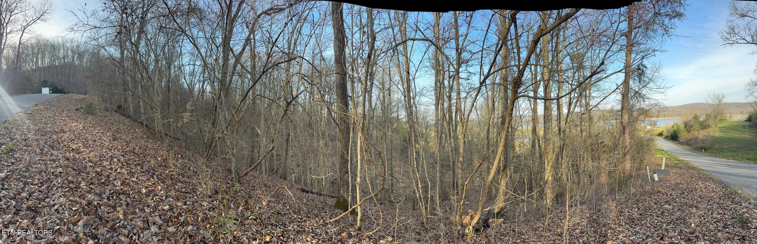 344 Larayne Hollow Rd
