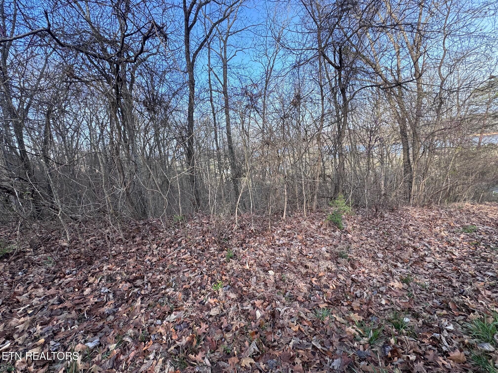 344 Larayne Hollow Rd