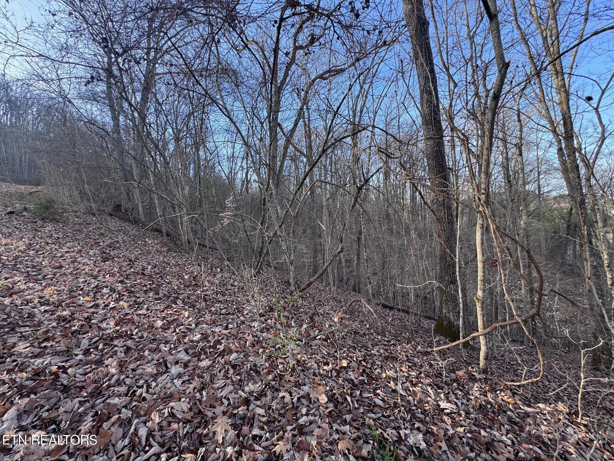 344 Larayne Hollow Rd