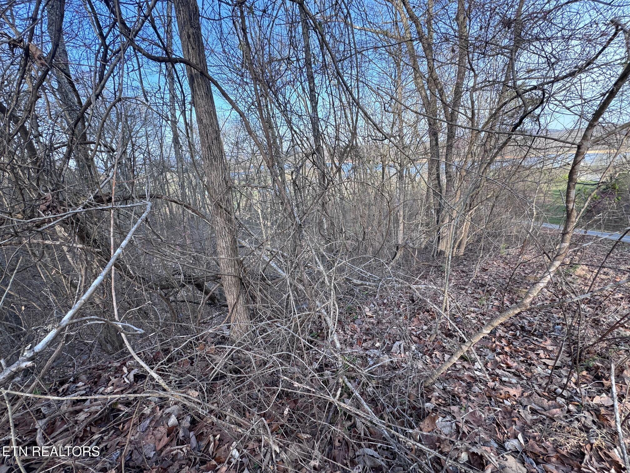 344 Larayne Hollow Rd