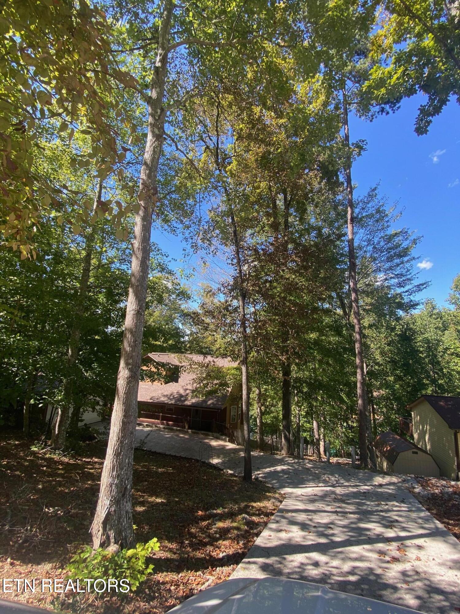 1447 Cove Pointe Rd, LaFollette