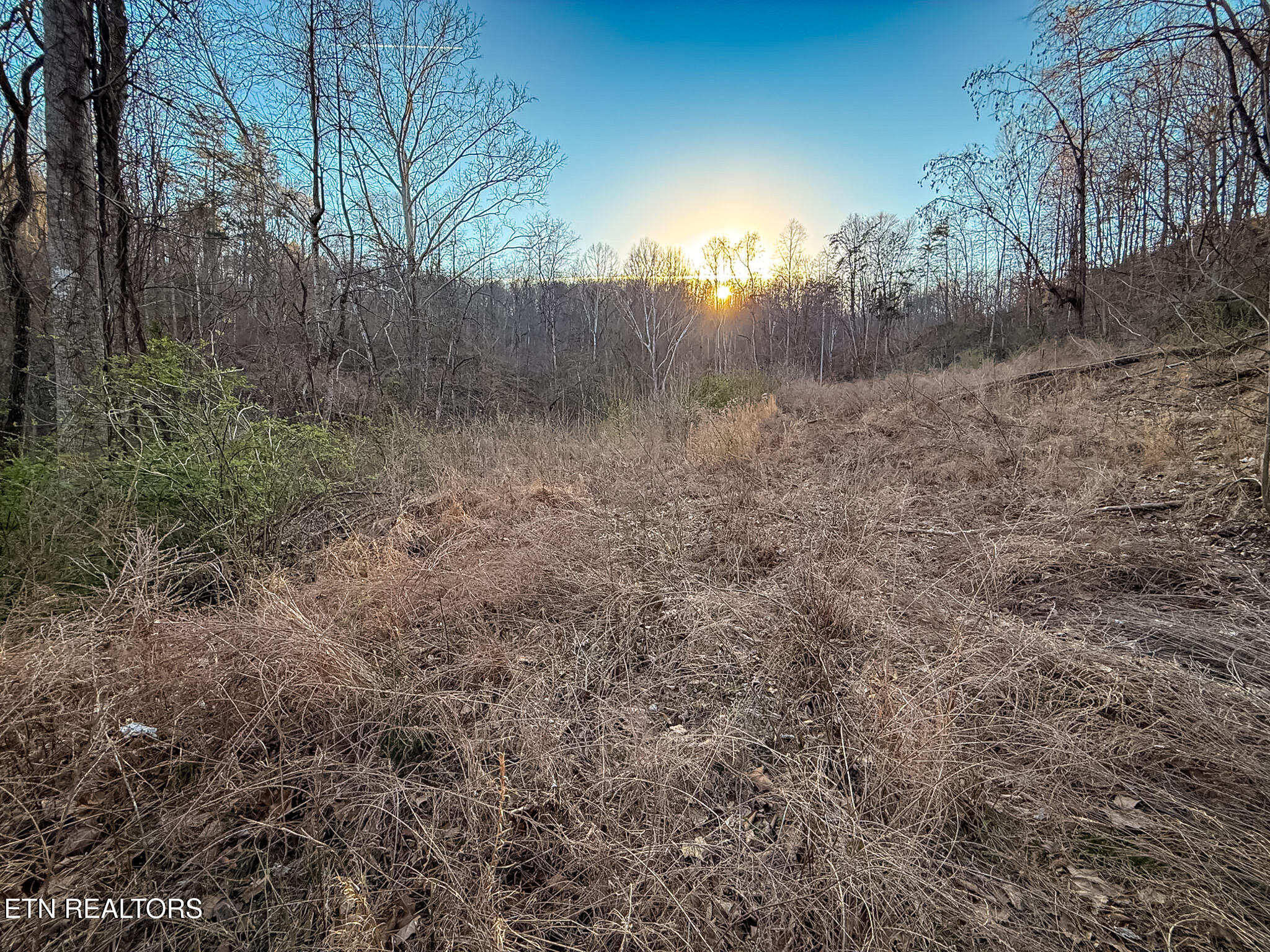 110 Braden Chapel Rd