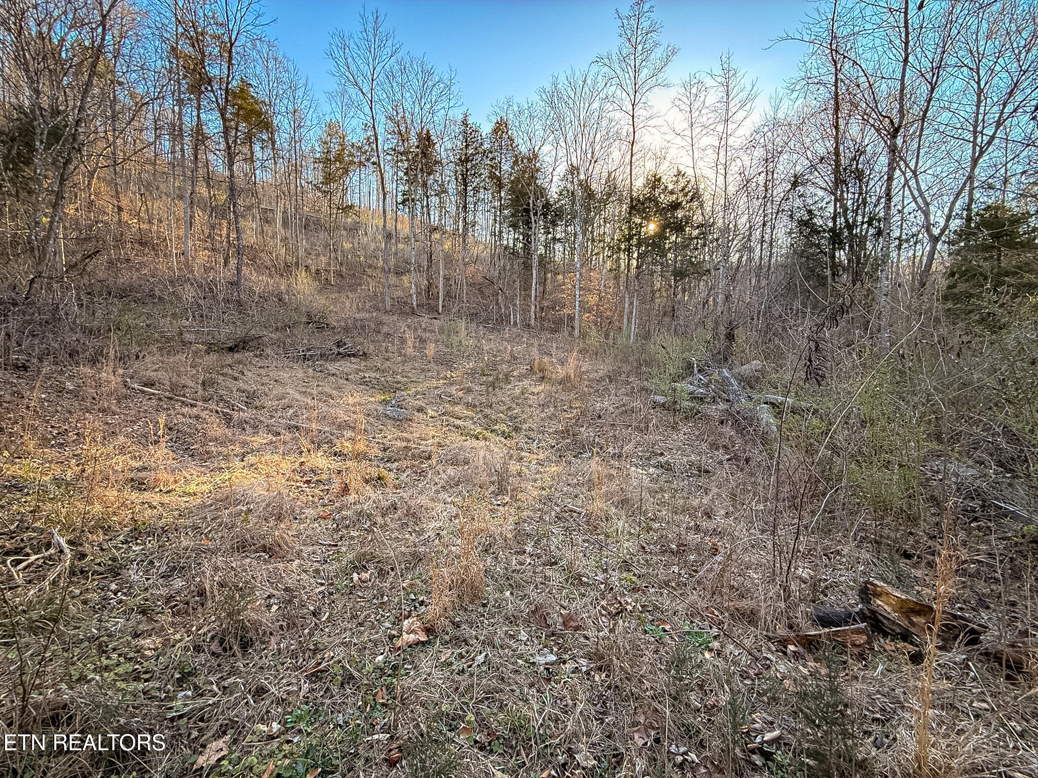 110 Braden Chapel Rd