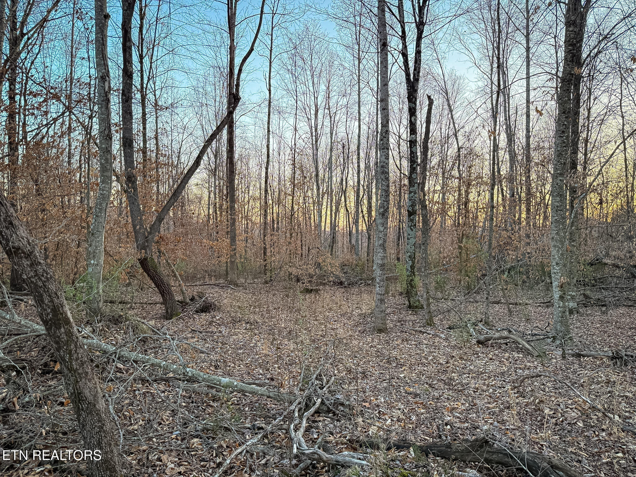 110 Braden Chapel Rd