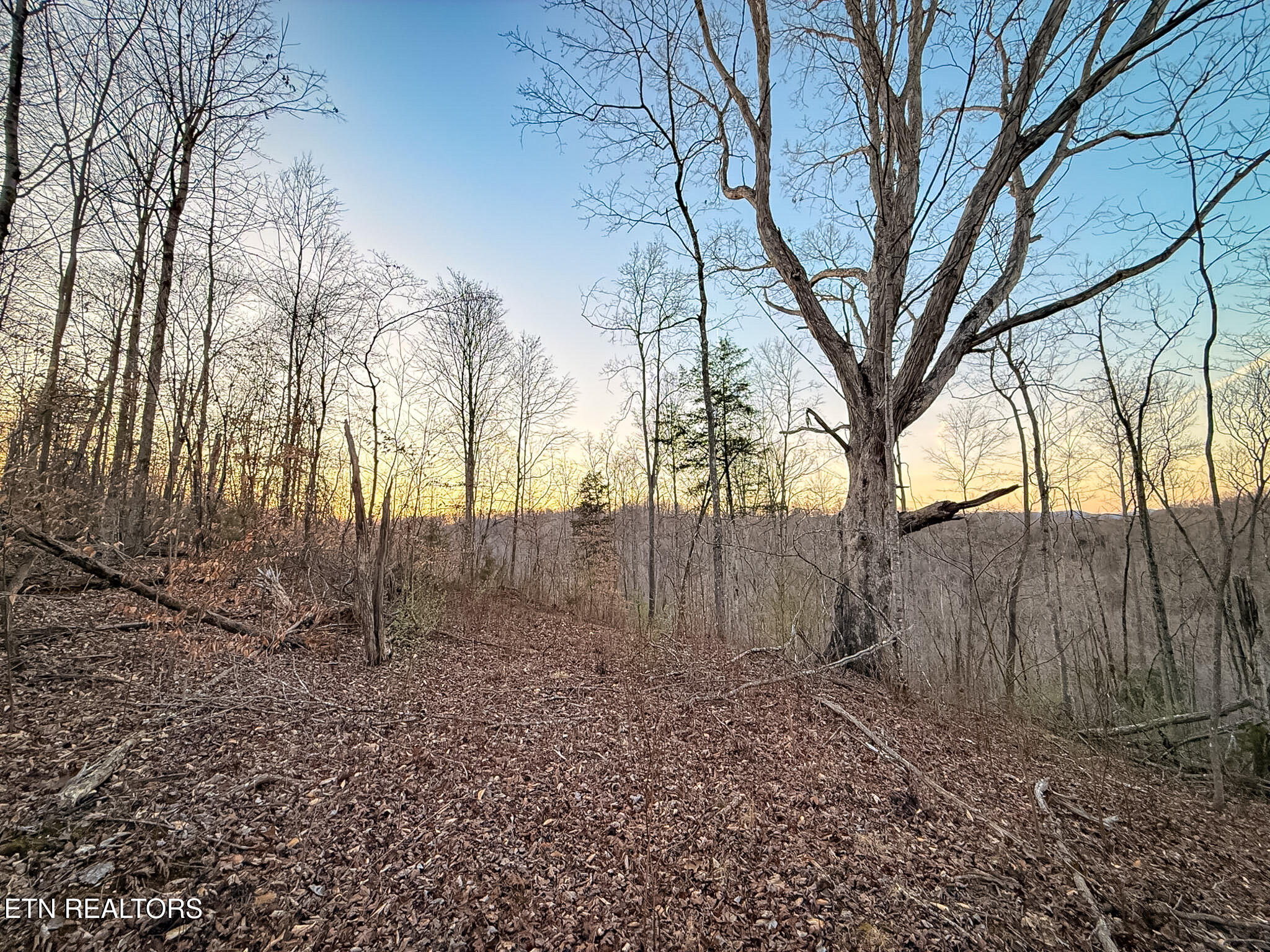 110 Braden Chapel Rd