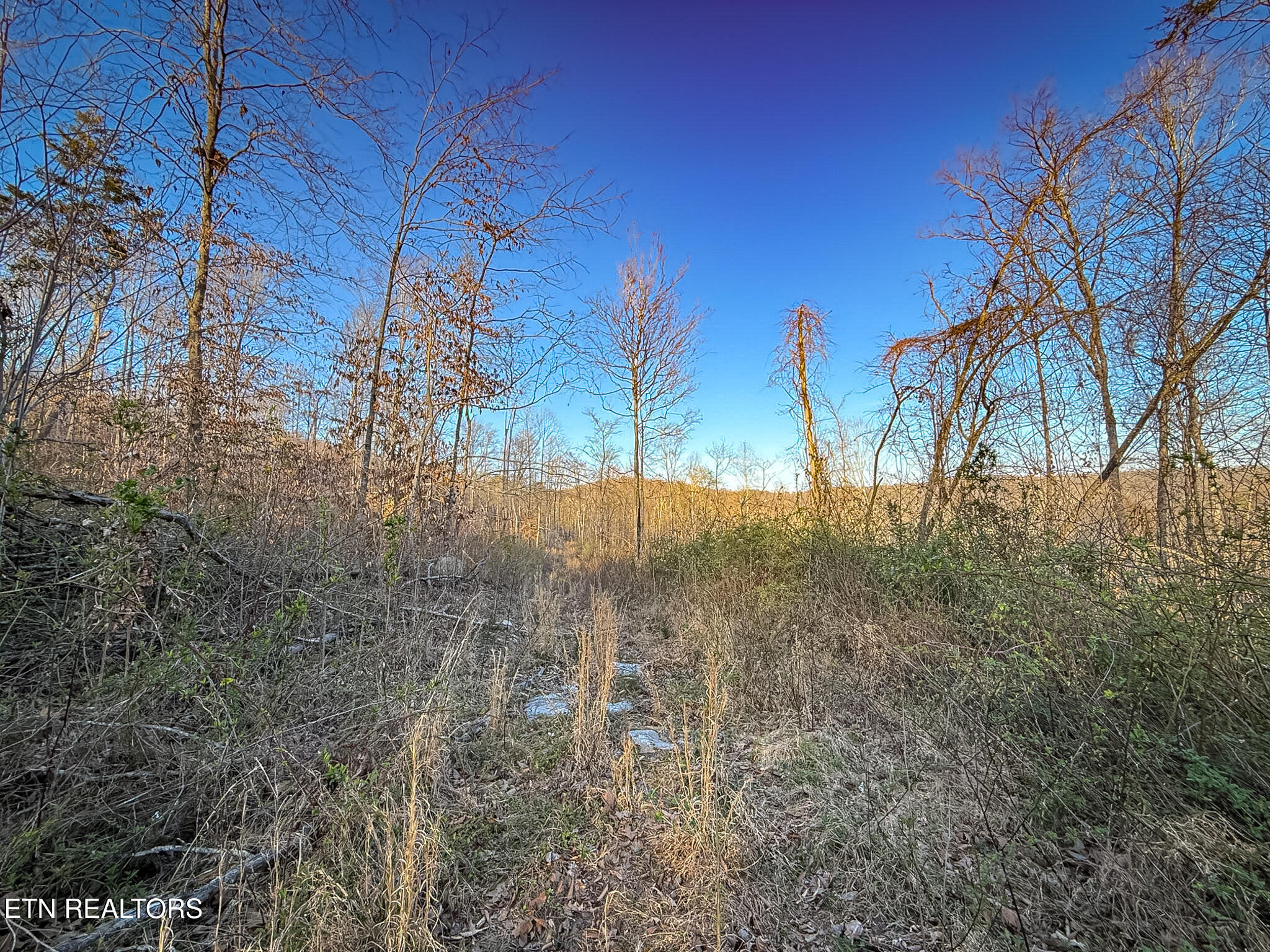 110 Braden Chapel Rd