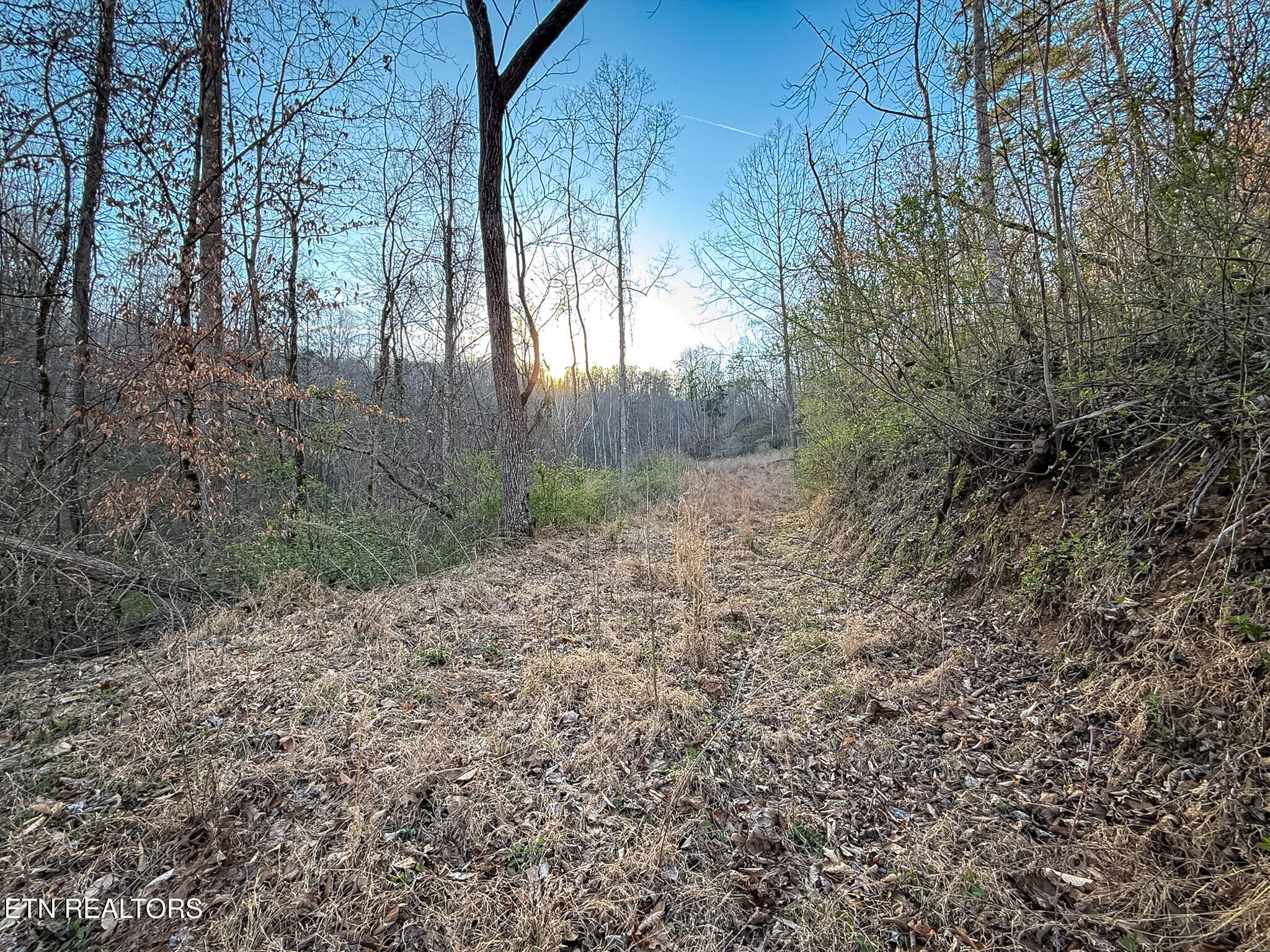 110 Braden Chapel Rd