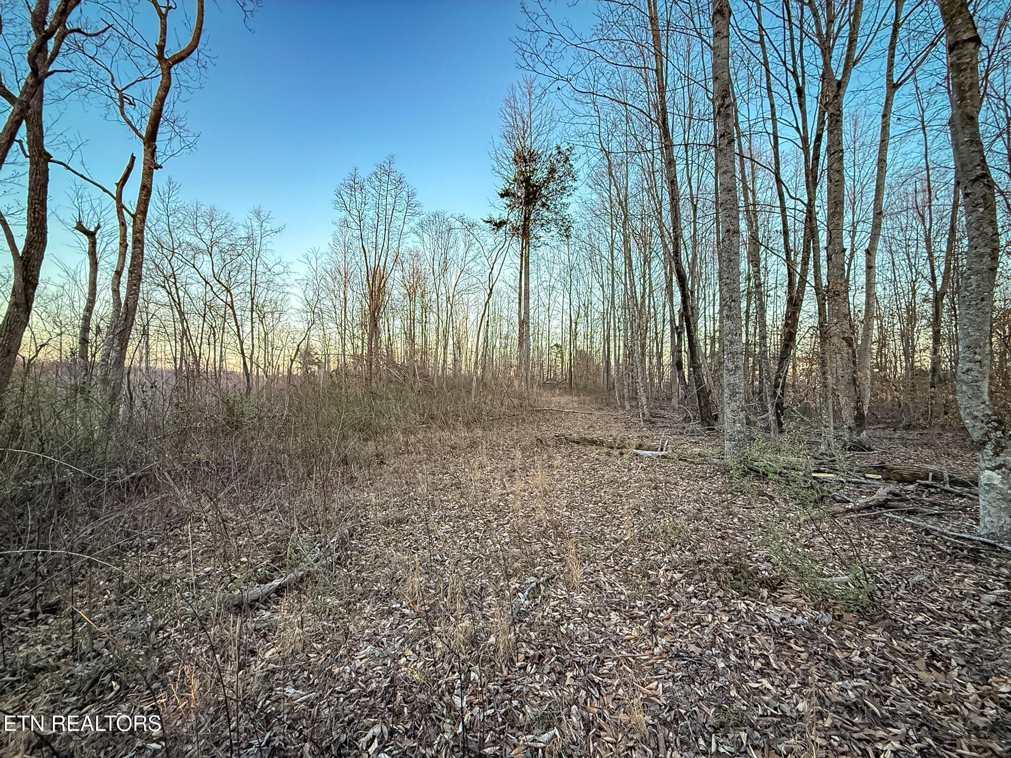 110 Braden Chapel Rd
