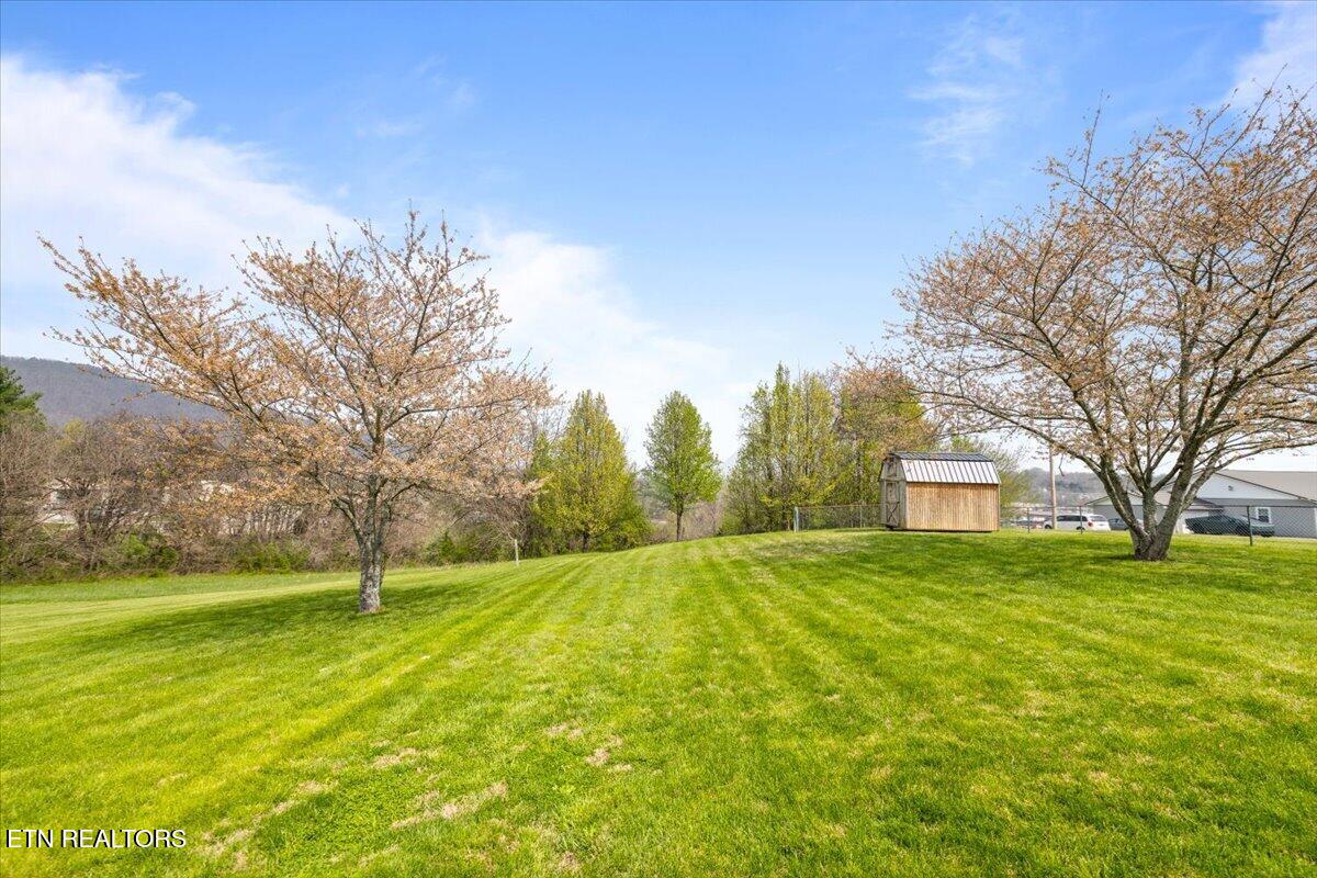 116 Colonial Heights, LaFollette
