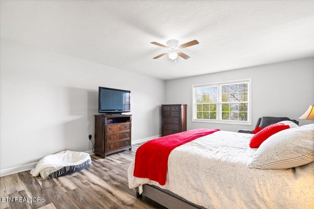 116 Colonial Heights, LaFollette