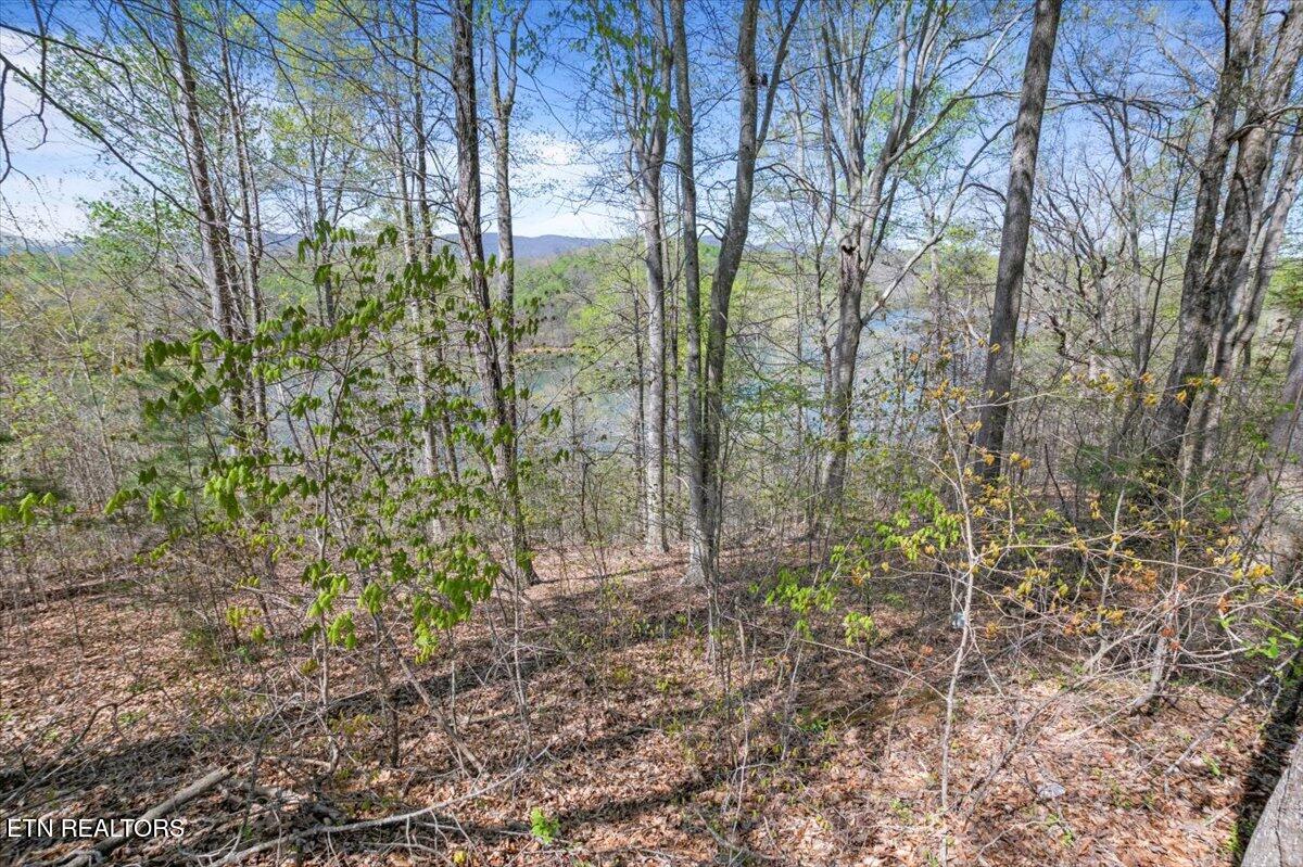 Lot 44 Hiwassee Drive