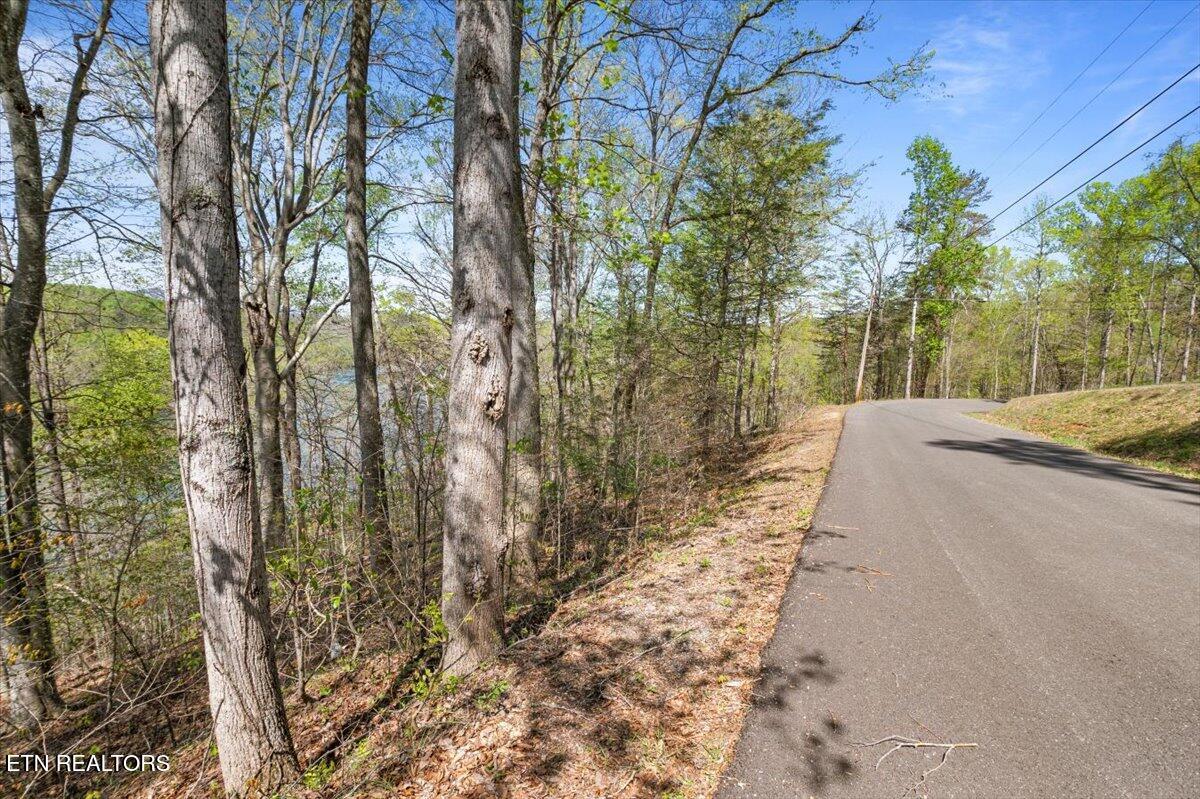 Lot 44 Hiwassee Drive