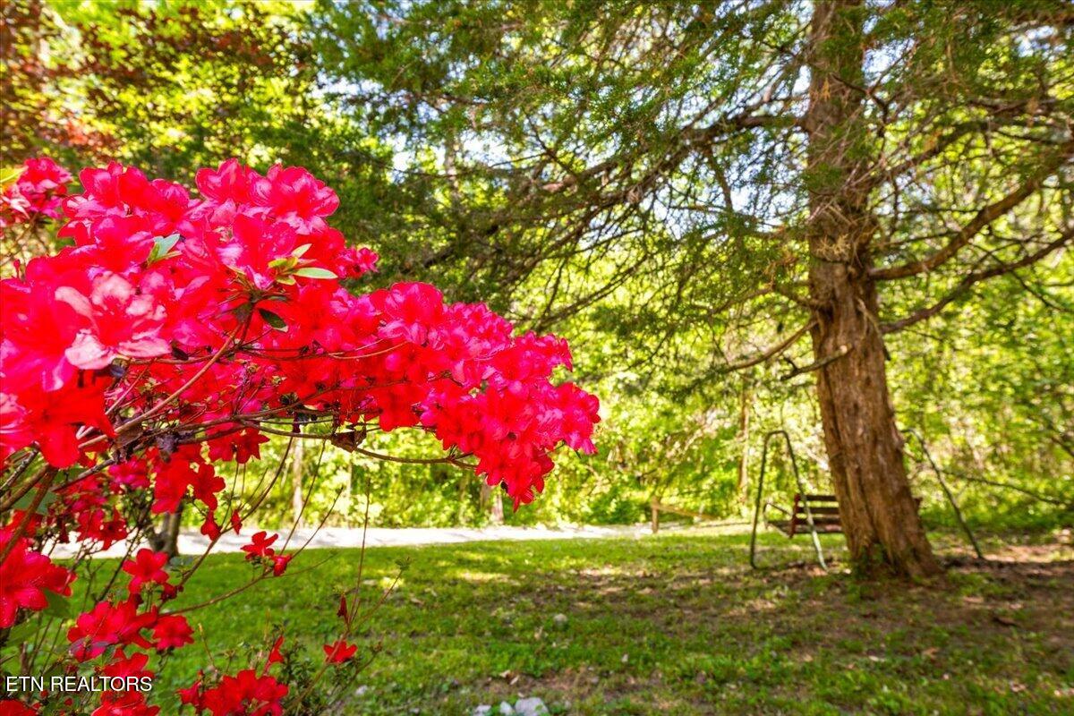 652 Indian Mountain Rd