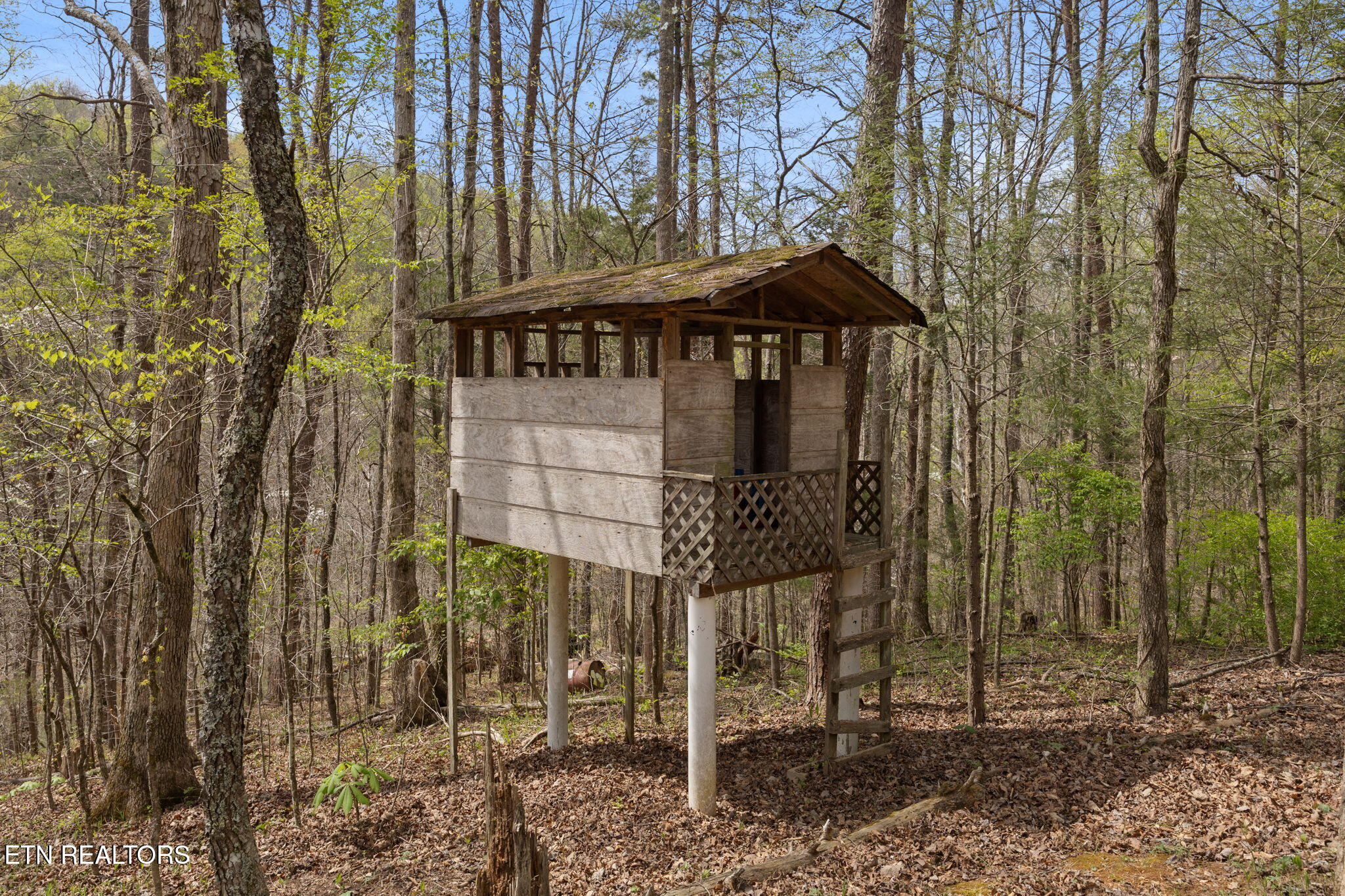 258 Marina Lane, LaFollette