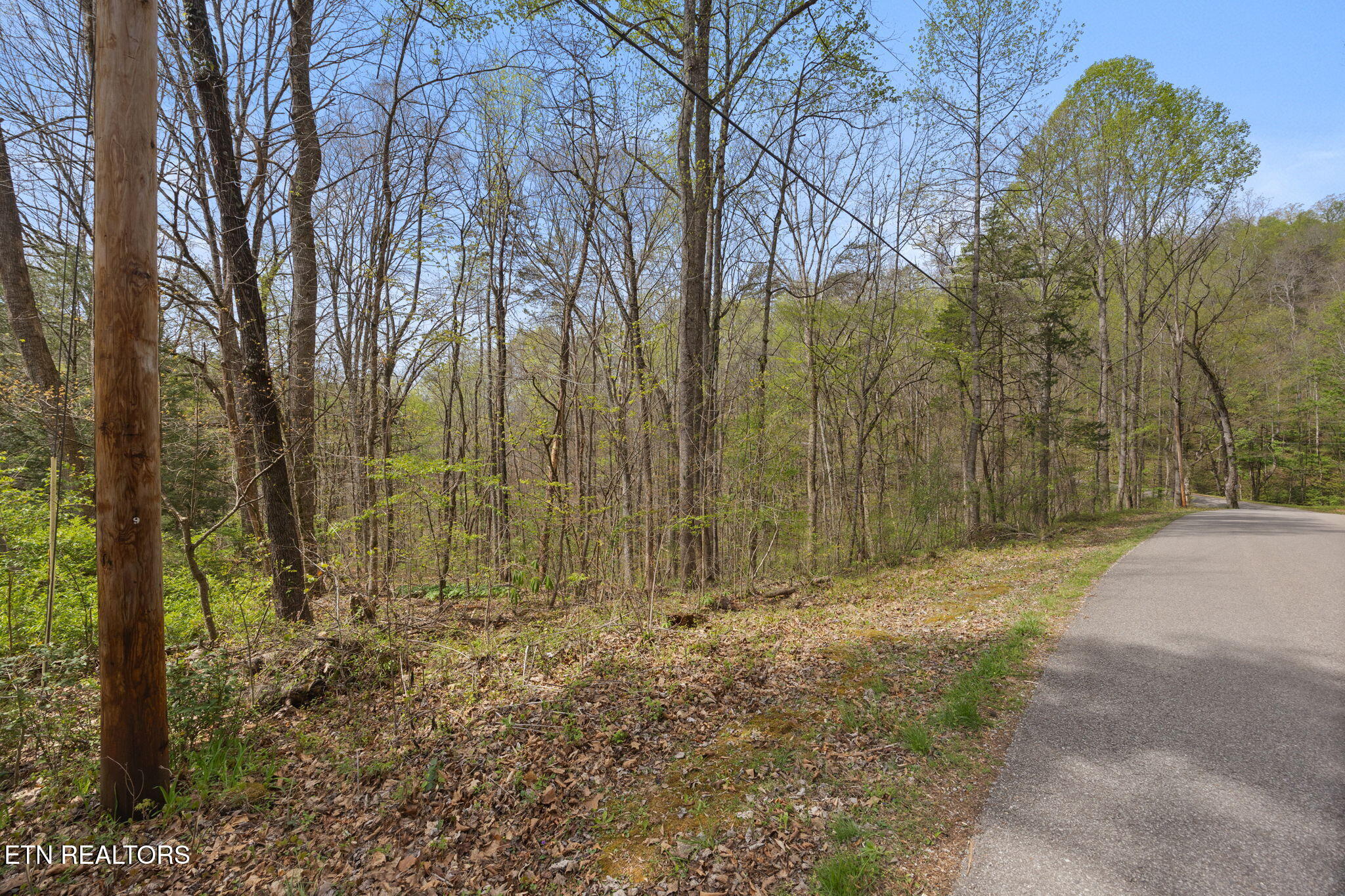 258 Marina Lane, LaFollette