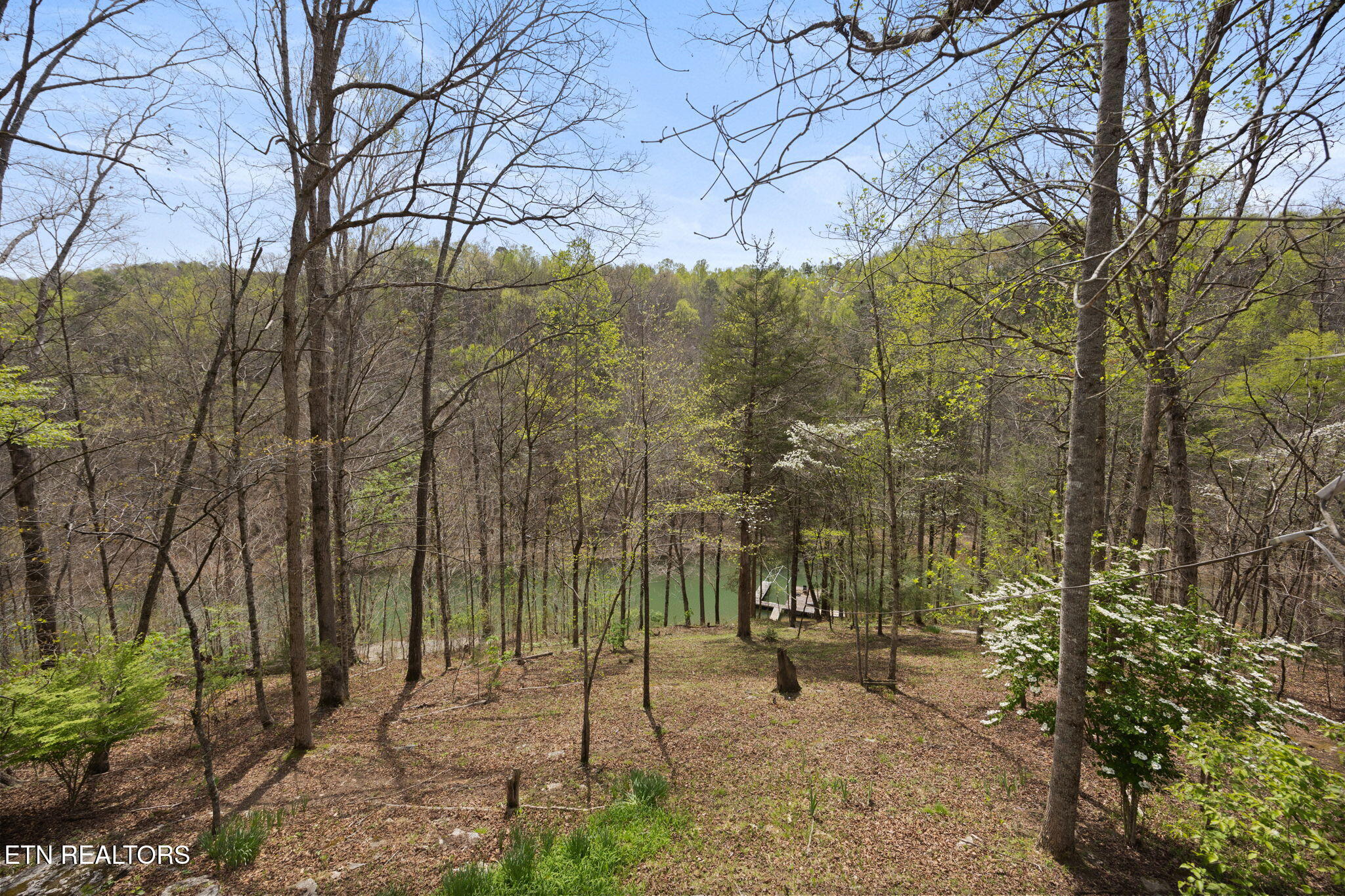 258 Marina Lane, LaFollette