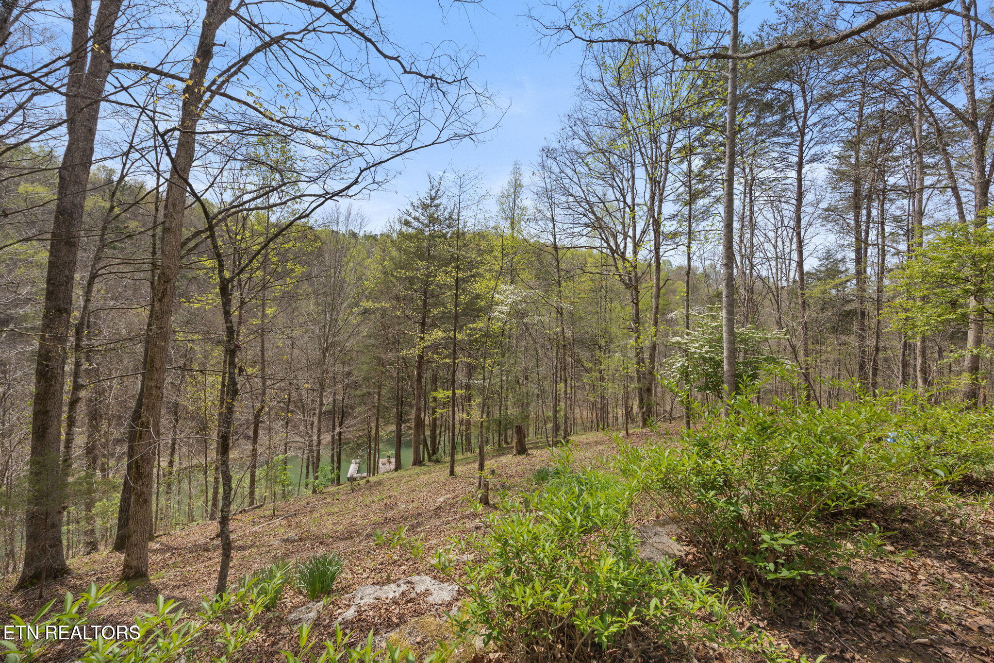 258 Marina Lane, LaFollette