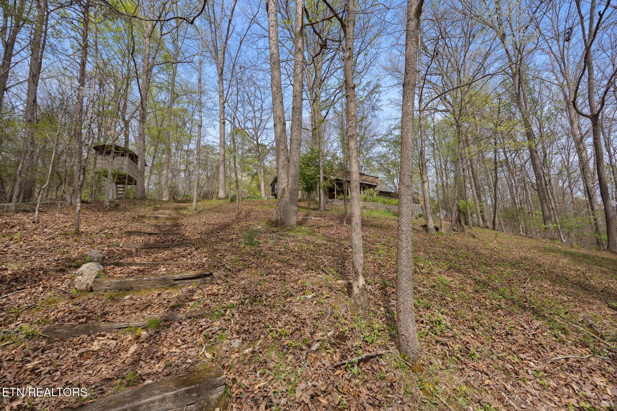258 Marina Lane, LaFollette