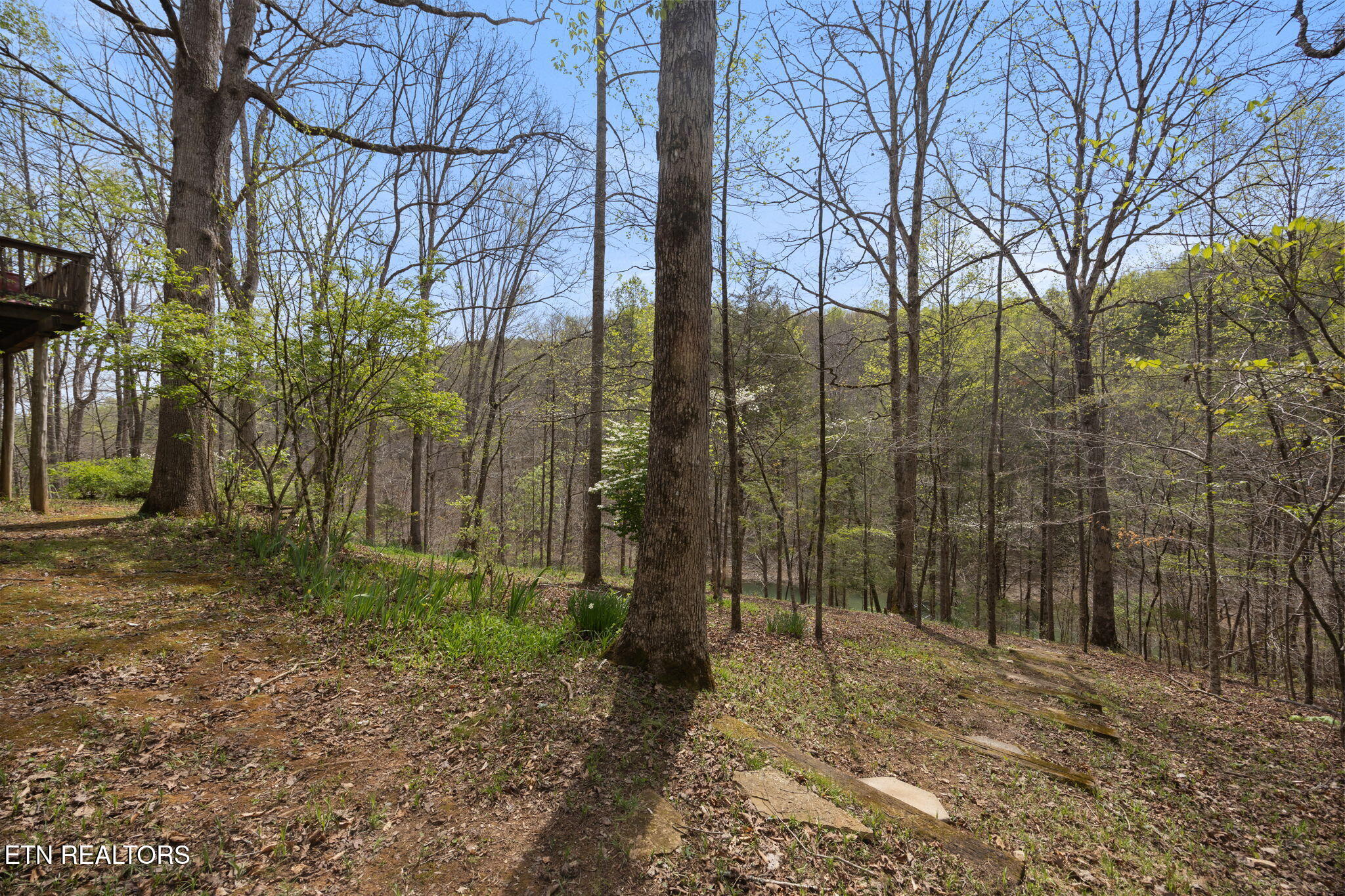 258 Marina Lane, LaFollette