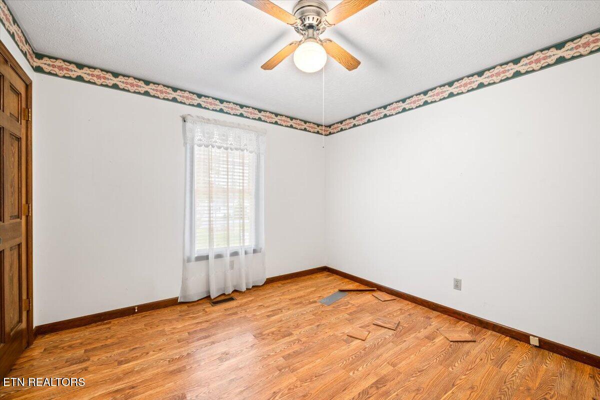 318 Springfield Drive, LaFollette