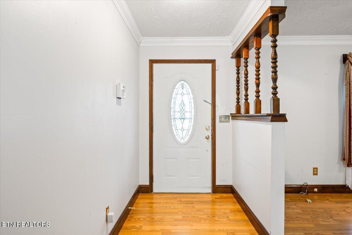318 Springfield Drive, LaFollette