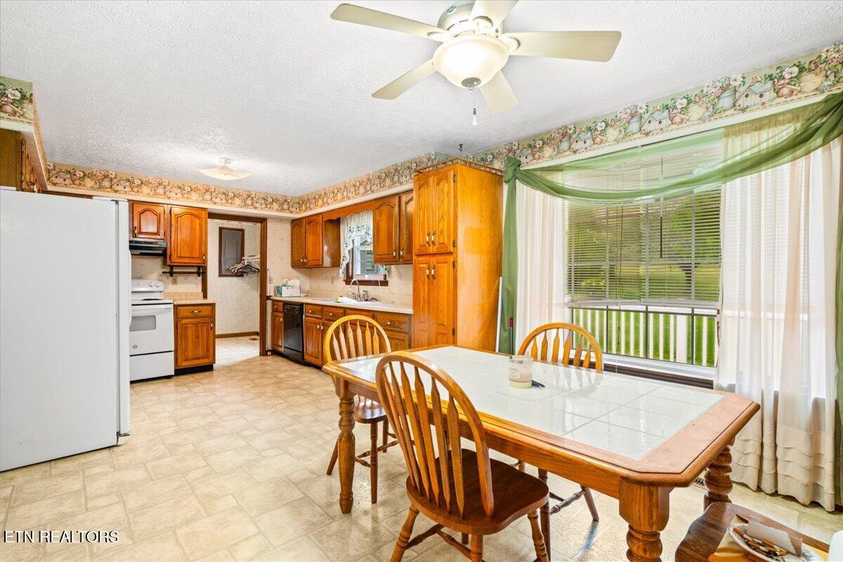 318 Springfield Drive, LaFollette