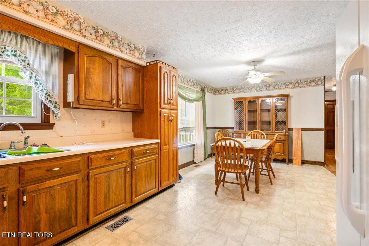 318 Springfield Drive, LaFollette
