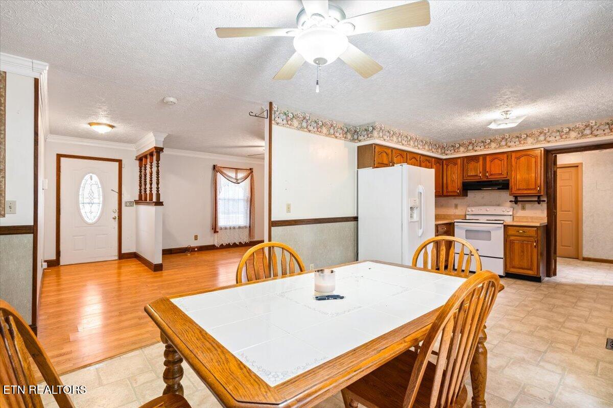 318 Springfield Drive, LaFollette