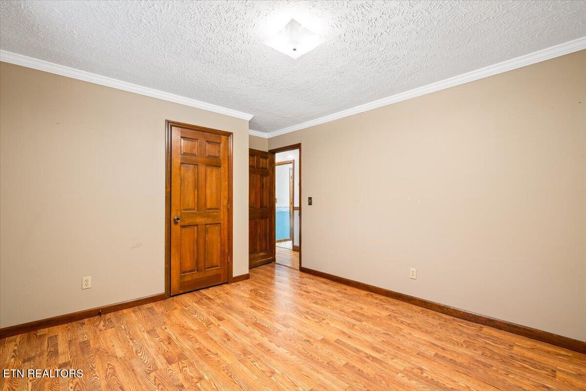 318 Springfield Drive, LaFollette