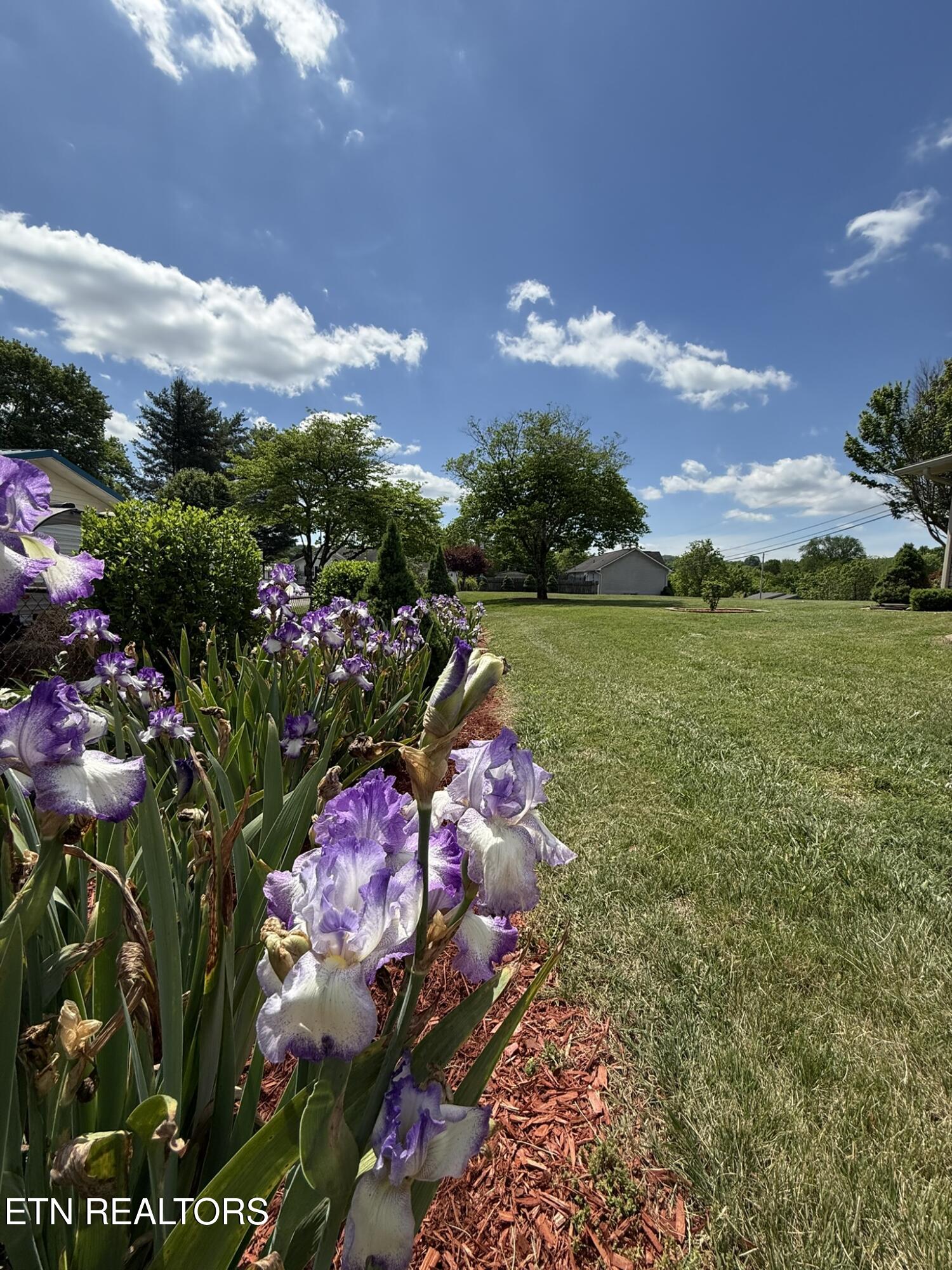 155 Valley View Rd, LaFollette