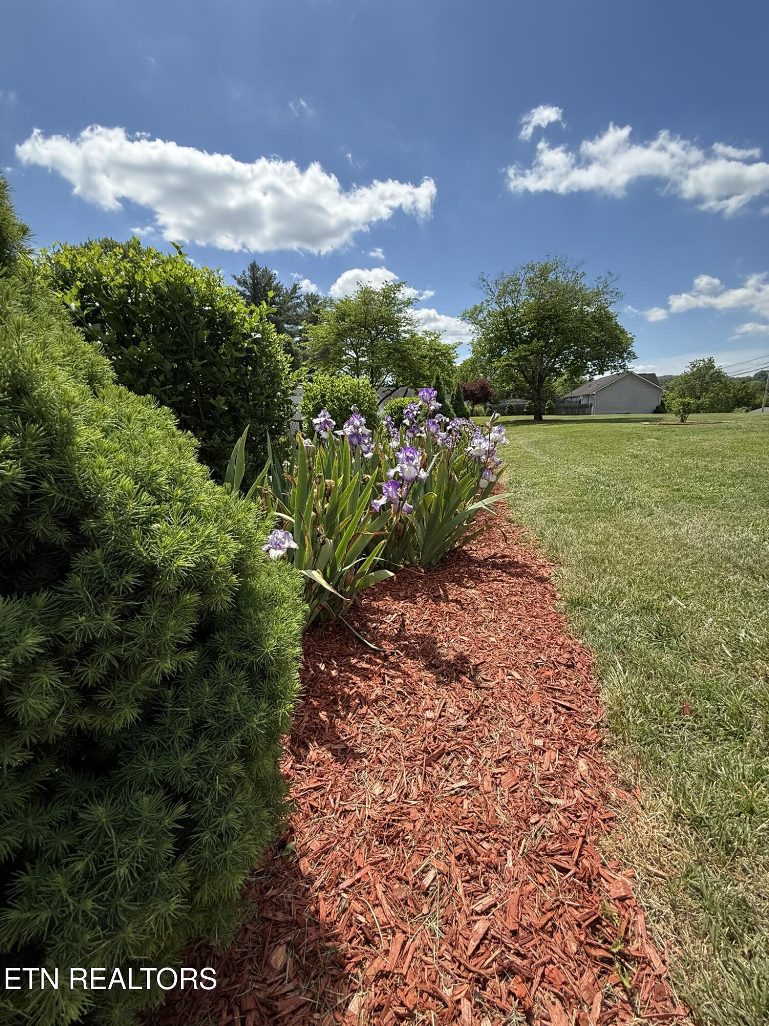 155 Valley View Rd, LaFollette