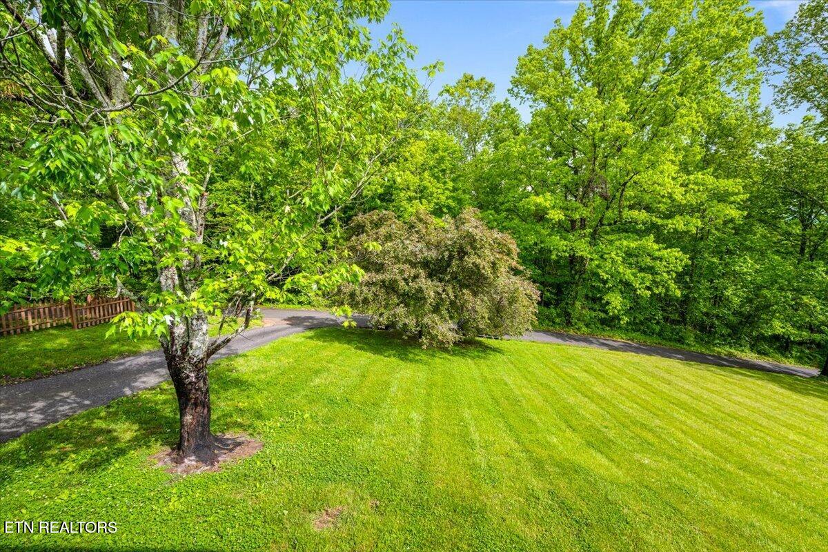 226 McKinney Rd, LaFollette
