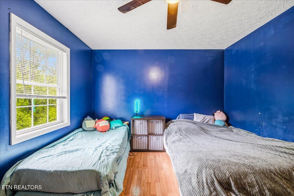 226 McKinney Rd, LaFollette
