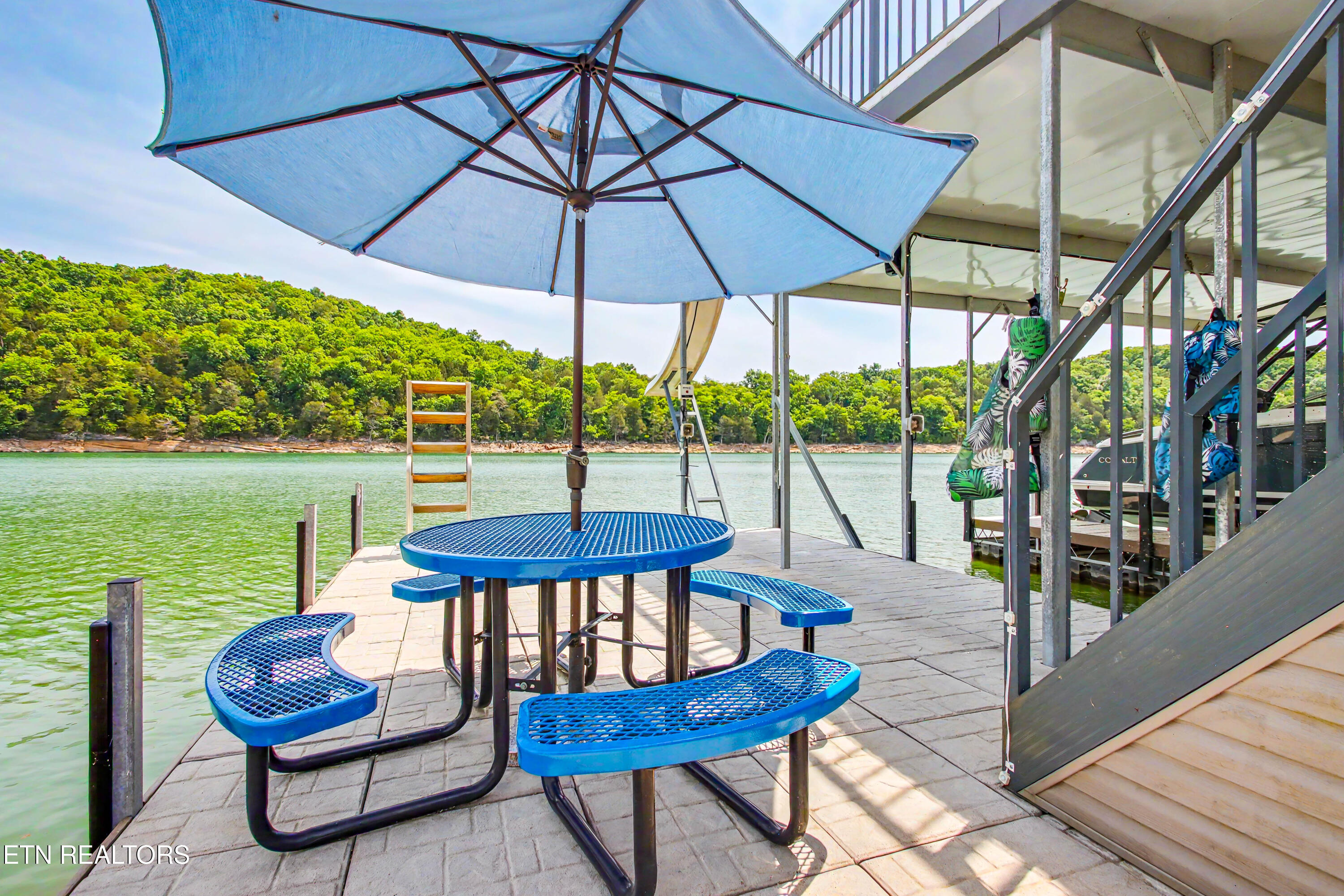 597 E Norris Point Rd, LaFollette