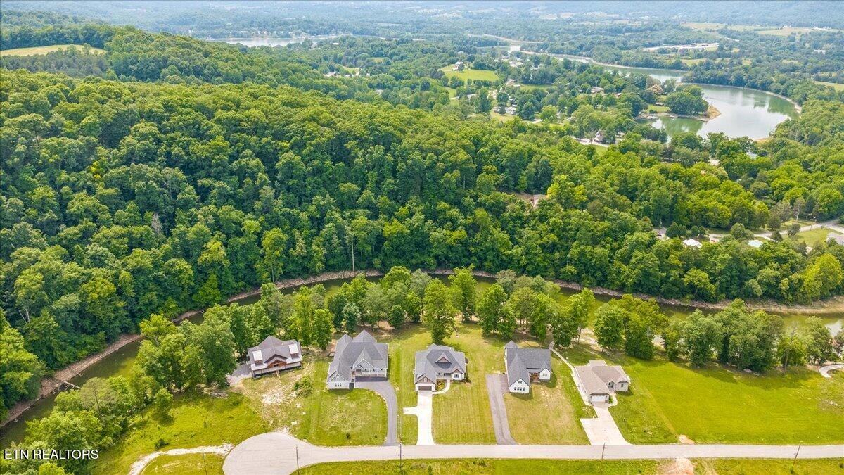 320 Wagon Lane
