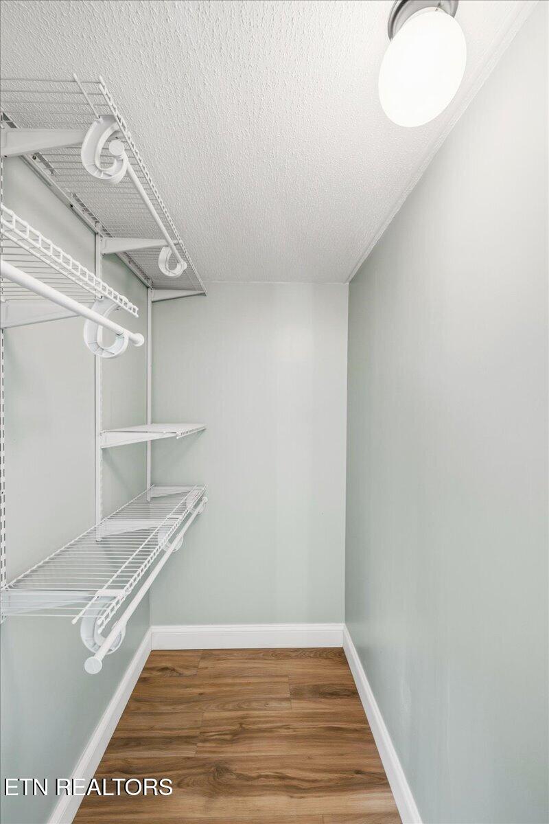 123 Sweat Lane, LaFollette