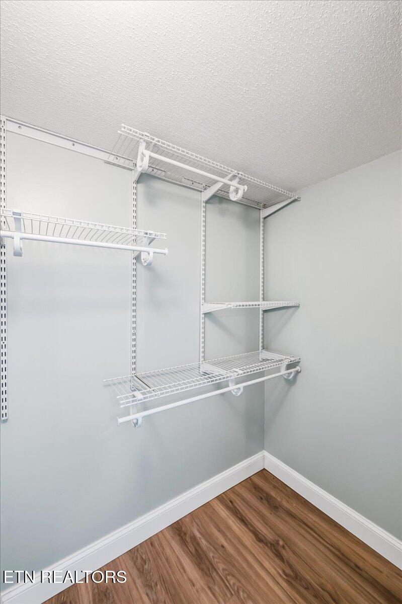 123 Sweat Lane, LaFollette