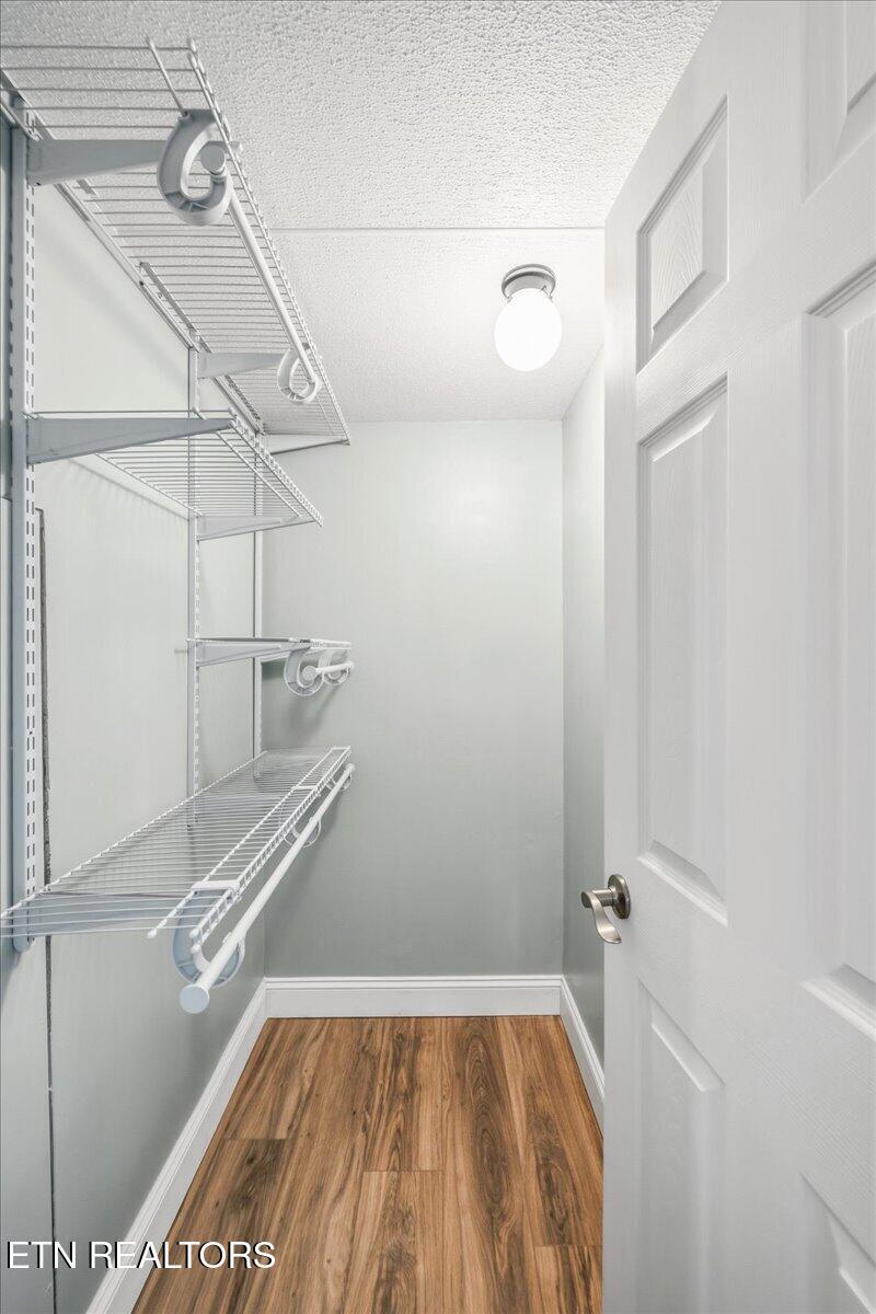 123 Sweat Lane, LaFollette